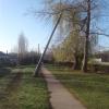 Фотография 3
