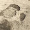 Фотография 14