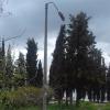 Фотография 7