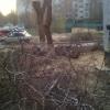 Фотография 6