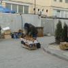 Фотография 3