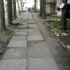 Фотография 1