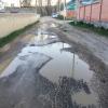Фотография 1