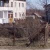 Фотография 3