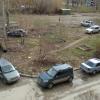 Фотография 1