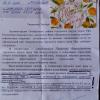 Щебень вместо асфальта , считается УДОВЛЕТВОРИТЕЛЬНО!