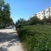 Фотография 1