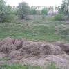 свалка находится в овраге между старым яблоневым садом и аэродромом "Северка"