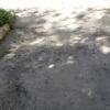 Фотография 1