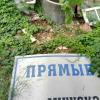 Фотография 5
